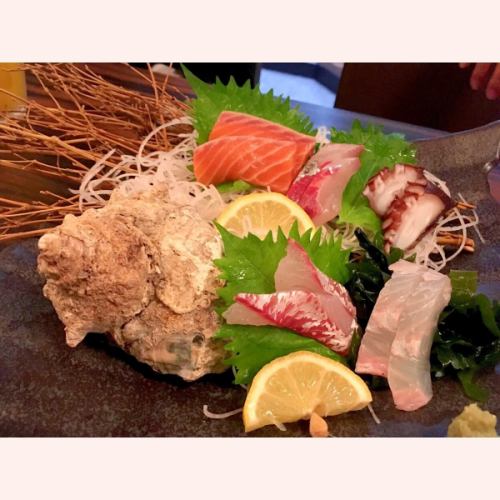 今日最美味的魚，由魚類專家精選