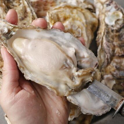 生牡蠣 産地別 2種類4個盛り合わせ