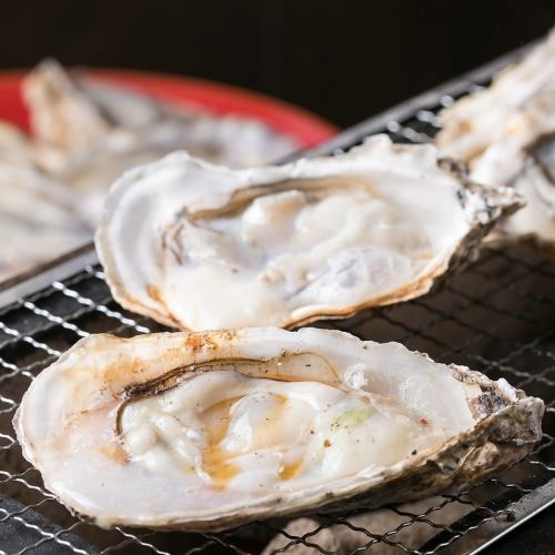 炭火で味わう季節の殻付き牡蠣《牡蠣小屋ななちゃん》はじまりました。豊前一粒牡蠣使用