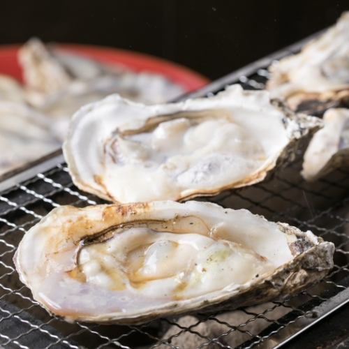 豊前一粒牡蠣 1盛り(1Kg) 約16個前後