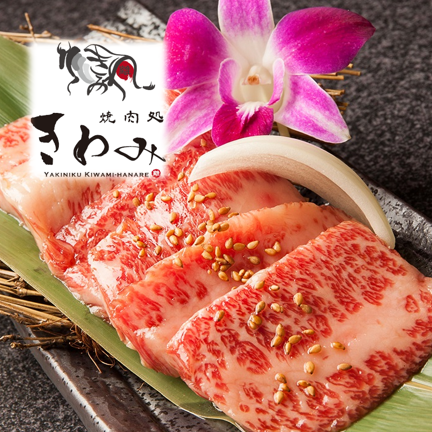 可以享用北海道白老和牛的私人烤肉半价无限畅饮980日元！