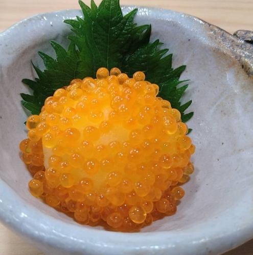 磨碎的鮭魚籽