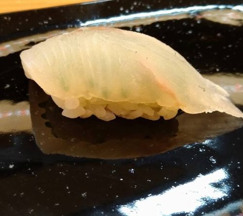 紅鯛魚