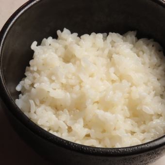 茶碗飯