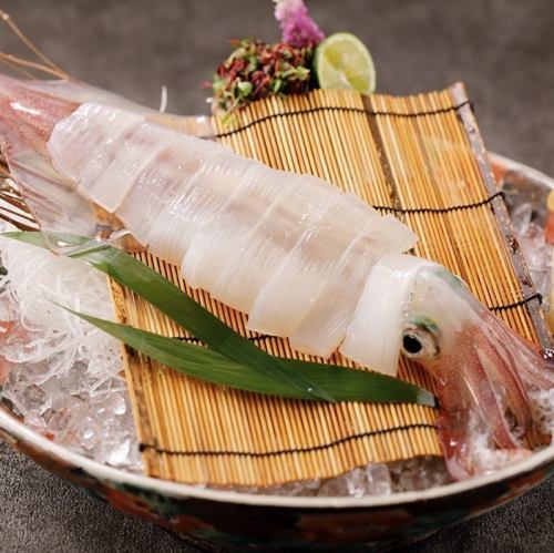 姿造り◆イカや鯵に伊勢…