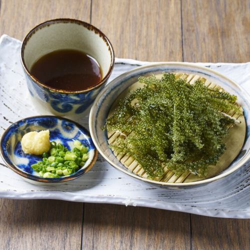 海ぶどう