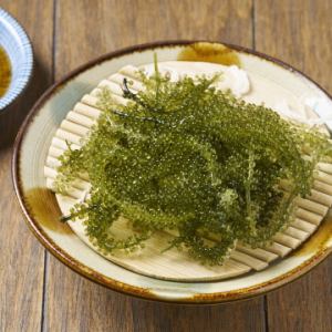 新鮮！海ぶどう