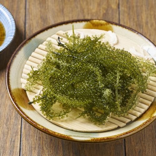 新鮮！海ぶどう