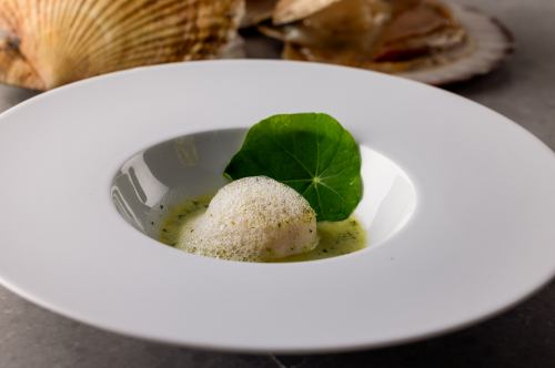 Steamed scallops and sea urchin with champagne