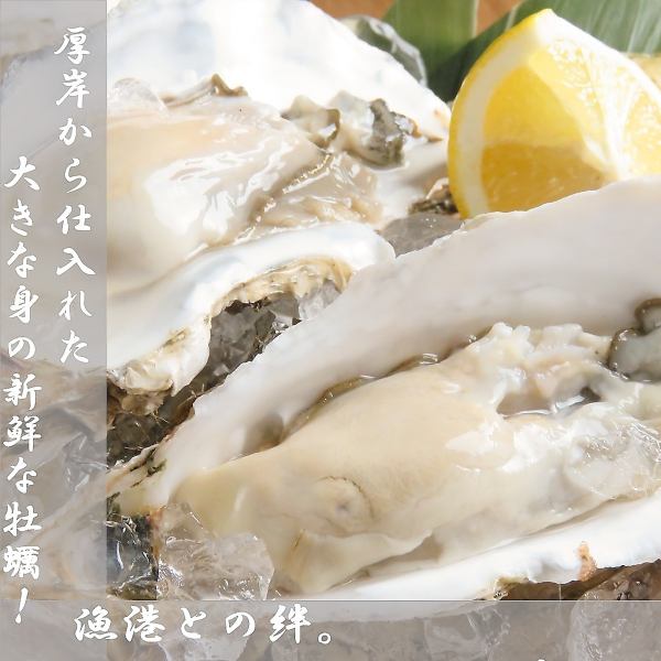 【一度は食べたい超人気メニュー！】厚岸産から直送!!新鮮牡蠣1個165円（税込み）