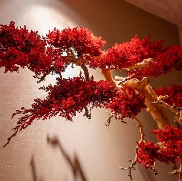 店内は赤を基調にしながらも、落ち着いた雰囲気の個室を用意しております。