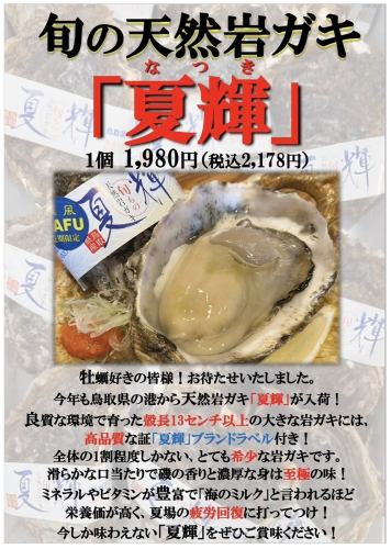 [Limited time until August] Seasonal natural rock oyster "Natsuki"