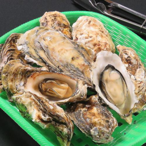 올해도 굴 오두막 시작!