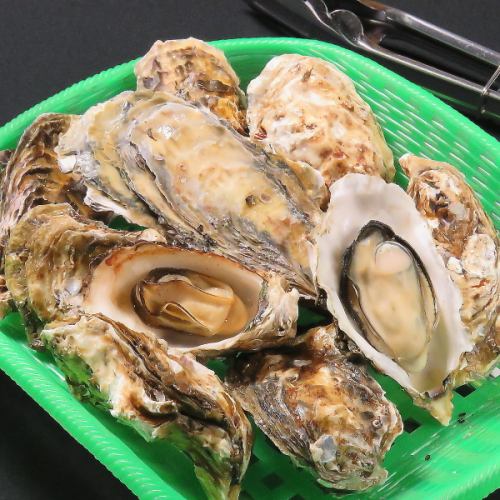 굴은 크림 같은 일품입니다!