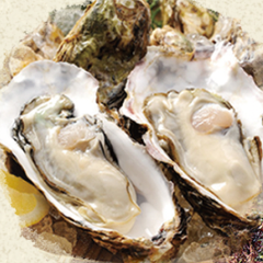 ≪平日限定≫２H飲み放題付プラン3300円（税込）