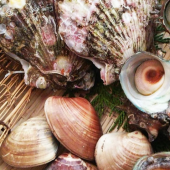 ≪平日限定≫牡蠣も魚介も満足プラン（ドリンク3杯付）3300円（税込）