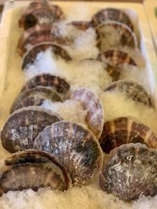 活き ホタテ(1枚)