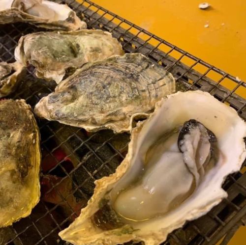 採れたて新鮮活き牡蠣・車海老