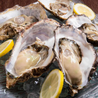 ◆当店人気の牡蠣とお肉と三浦野菜が堪能できる全7品コース◆ ¥5,000 2時間飲み放題付き