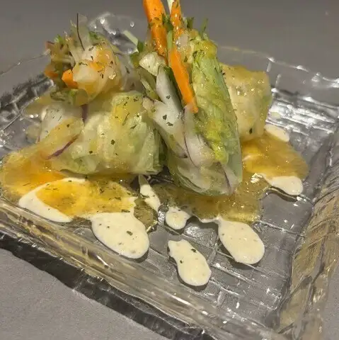 Raw spring roll