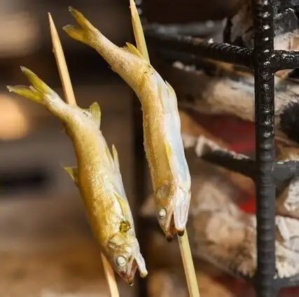 ライブ感満載◎【活あゆの塩焼き】生きている鮎を目の前で焼き上げてご提供
