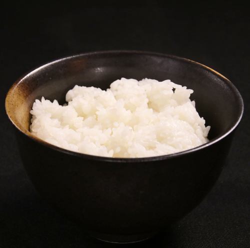 白米飯 小