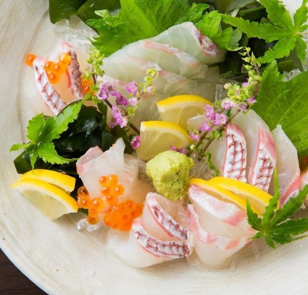 Assorted fresh seasonal sashimi procured daily