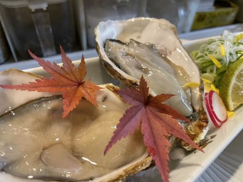 Amakusa oysters sourced directly from Japan