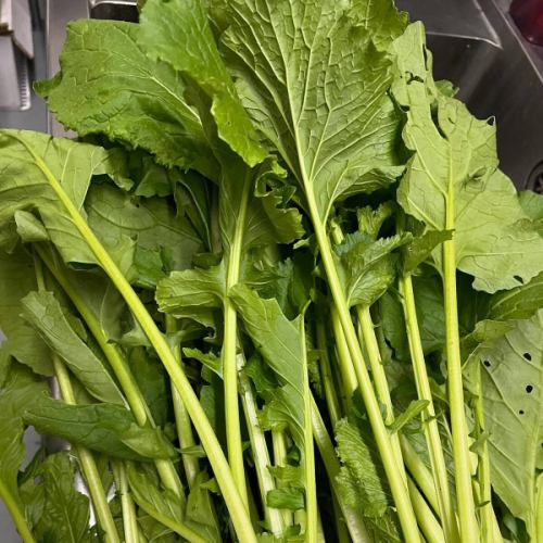 ちょっと変わった食材入荷しています🥬
ゆきわり茸、谷川茸は花鯛と一緒にベニエにし、自家製オリーブのソースと。

イタリアの菜花チーマディラーパと群馬県産下仁田ネギ、自家製ベーコンのスパゲティもオススメです✨今週末アラカルトで食べられます！

県内でも少し車を走らせると面白い食材と出会えますね🤩

本日もご来店お待ちしております😊🍽️
10日ディナーと11日ランチはお席残りわずかとなっております。事前にお席のご予約をしていただけるとスムーズにご案内できます。
よろしくお願いします😌

クリスマスコースのご予約もまだまだ受付中です〜👨🏻‍🍳🇫🇷🇫🇷🎄

*•.•*•.•*•.•*•.•*•.•*•.•*•.•*•.•*•.•*•.•*•.•*

ネット予約はプロフィール覧のホームページ、
又はこちらからどうぞ⬇︎⬇︎⬇︎

https://resutaurant-olivier.owst.jp/

Restaurant Olivier
レストラン　オリヴィエ

群馬県高崎市福島町726-7
027-388-0227 
【営業時間】
11:30-15:00（14:00L.O） 
18:30-22:00（21:00L.O）
【定休日】
毎週水曜日、第1.第3火曜日

#restaurantolivier 
#レストランオリヴィエ 
#オリヴィエ 
#高崎フレンチ 
#高崎グルメ 
#群馬フレンチ 
#ゆきわりだけ 
#たにがわだけ
#チーマディラーパ
#下仁田ネギ