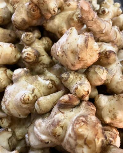 食べたら綺麗になれる。かも🦆
スーパーフード菊芋🥔をポタージュでどうぞ！

今週末お席ご用意できます😊
2日のディナーはお席残り僅かです。
今週もよろしくお願いします🇫🇷

*•.•*•.•*•.•*•.•*•.•*•.•*•.•*•.•*•.•*•.•*•.•*

ネット予約はプロフィール覧のホームページ、
又はこちらからどうぞ⬇︎⬇︎⬇︎

https://resutaurant-olivier.owst.jp/

Restaurant Olivier
レストラン　オリヴィエ

群馬県高崎市福島町726-7
027-388-0227 
【営業時間】
11:30-15:00（14:00L.O） 
18:30-22:00（21:00L.O）
【定休日】
毎週水曜日、第1.第3火曜日

#restaurantolivier 
#レストランオリヴィエ 
#オリヴィエ 
#高崎フレンチ 
#高崎グルメ 
#榛名豚11時間コンフィ
#落花生のソース
#菊芋のポタージュ
#ディナーアラカルトメニュー