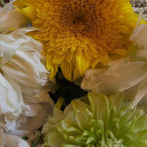 先週はテラス席でフラワーアレンジメントのワークショップを催していただきました💐
その後にオリヴィエのランチを皆様で🇫🇷

テラスで素敵な空間を作っていただき
ありがとうございました🙇🏻‍♀️
癒されました〜🥰

テラス席は最大8名様まで、その他のワークショップ等もお気軽にご相談下さい🌿

7周年特別コース、ペアリングコース、早速ご予約いただきありがとうございます！
まだまだ受付中です🇫🇷🇫🇷🇫🇷
ご予約はお電話か、インスタメッセージでお待ちしております🙇🏻‍♂️

#restaurantolivier 
#レストランオリヴィエ 
#オリヴィエ 
#高崎フレンチ 
#群馬フレンチ
#フラワーアレンジメント
#ワークショップ
#テラス席ご利用いただけます
#周年イベント
