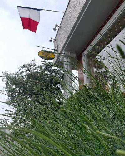 普罗旺斯葡萄酒之王
[Domaine Richaume] 到货了！

享受黑胡椒、香草、烤香、铁和红花的香气。
通常按瓶出售，在搭配过程中将按杯供应！
请借此机会享受它🇫🇷🤩🤩🤩

我们还有香槟和桃红香槟🍾🍾🍾☀️

照片里的烩饭是西葫芦烩饭，上面放着山羊奶酪和帕尔玛火腿🍽️这是午餐供应的。

最后一张照片是生章鱼、樱花虾和日向夏的清爽开胃菜。如果您预订，我们将按单点菜单为您准备。

本周我们将于 30 日专门供应晚餐。其他日期还有空位😌

我们仍在接受六月周年纪念特别套餐和配对套餐的预订🇫🇷🇫🇷🇫🇷
期待您的预订🌿😊

*•.•*•.•*•.•*•.•*•.•*•.•*•.•*•.•*•.•*•.•*•.•*

如需在线预订，请访问个人资料页面主页，
或点击这里⬇︎⬇︎⬇︎

https://resutaurant-olivier.owst.jp/

Restaurant Olivier
餐厅和咖啡厅

群马县高崎市福岛町726-7
027-388-0227
[营业时间]
11:30-14:30(14:00L.O)
18:30-22:00(21:00L.O)
[关闭]
每个星期三、每月第一个和第三个星期二

#restaurantolivier
#奥利维尔餐厅
#奥利维尔
#高崎法语
#普罗旺斯葡萄酒
＃香槟酒
#现已有货
#新菜品
#特别套餐
#法国葡萄酒和小吃
#配对课程