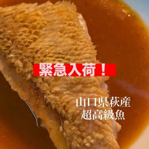 紧急抵达🌊

我们收到了一批从山口县萩市新鲜捕获的红白方头鱼🤩🤩🤩
@brasserie_lab
这可是两周才到一次萩市的超高级鱼！哇，超级稀有！
白色和红色的方头鱼都是连鳞一起烤着吃的。

午餐和晚餐
沙拉、汤、炒蔬菜和烤方头鱼套餐仅需 2,800 日元！
照片上显示的是一道鱼菜，但菜中还包括炒时令蔬菜。

不要错过这次品尝甜红鲷鱼的机会，这种鱼因其甜美的肉质和酥脆的鳞片而得名👨🏻‍🍳🍽️
晚餐也可点菜。

#restaurantolivier
#奥利维尔餐厅
#奥利维尔
#高崎法语
#紧急抵达
#红白方头鱼
#烤鱼鳞
#数量有限
＃赶快