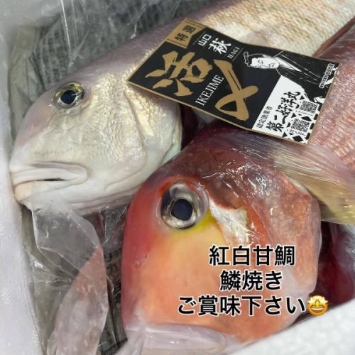 紧急抵达🌊

我们收到了一批从山口县萩市新鲜捕获的红白方头鱼🤩🤩🤩
@brasserie_lab
这可是两周才到一次萩市的超高级鱼！哇，超级稀有！
白色和红色的方头鱼都是连鳞一起烤着吃的。

午餐和晚餐
沙拉、汤、炒蔬菜和烤方头鱼套餐仅需 2,800 日元！
照片上显示的是一道鱼菜，但菜中还包括炒时令蔬菜。

不要错过这次品尝甜红鲷鱼的机会，这种鱼因其甜美的肉质和酥脆的鳞片而得名👨🏻‍🍳🍽️
晚餐也可点菜。

#restaurantolivier
#奥利维尔餐厅
#奥利维尔
#高崎法语
#紧急抵达
#红白方头鱼
#烤鱼鳞
#数量有限
＃赶快