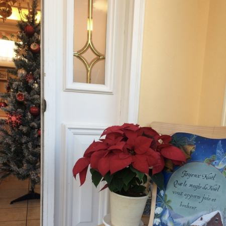 ★クリスマスランチコース☆ 12/24.25はこちらのコースのみ、12:00スタートとなります！