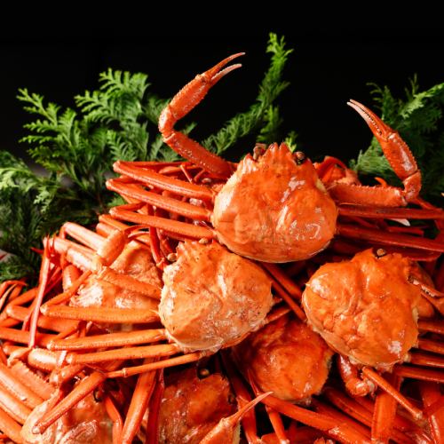 Directly delivered from Sakaiminato in Tottori Prefecture! Red snow crab that you can enjoy without freezing!