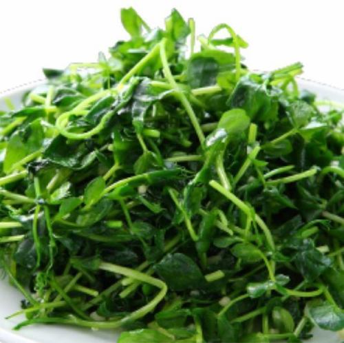 Stir-fried pea sprouts