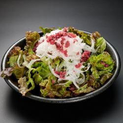 Crunchy plum and radish salad