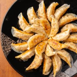 Various types of gyoza