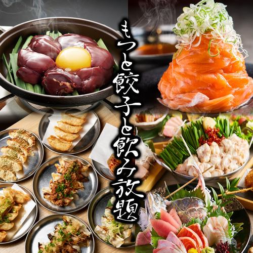 もつ料理と餃子と海鮮料理がうまい「Ajisai」すすきの駅徒歩1分の好立地！お酒の種類も豊富！飲み放題人気