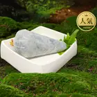 蝦餃