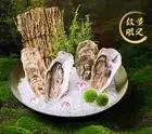 活牡蠣