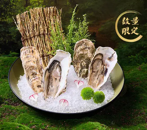 活牡蠣