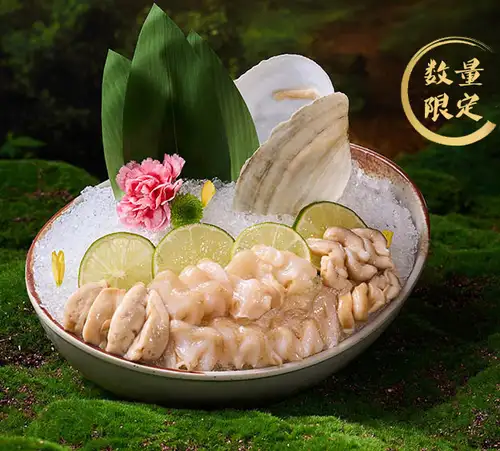 活的梅米爾蛤蜊