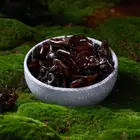 木耳