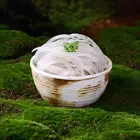 地瓜粉絲
