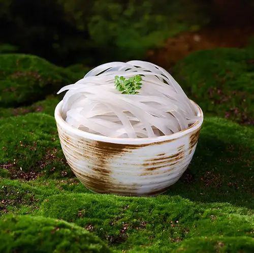 地瓜粉絲