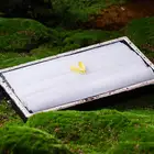 寬粉絲