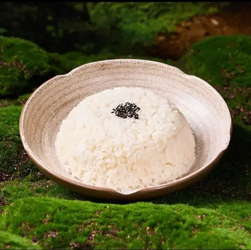 飯