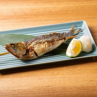 トロイワシ